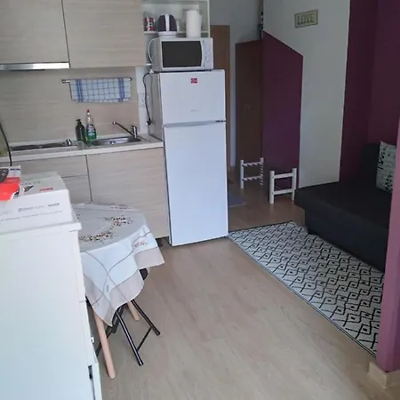 Sunny Lägenhet Slăntjev Brjag