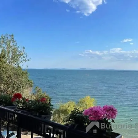 Апартаменты Sunny Солнечный берег