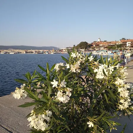Sunny * Słoneczny Brzeg